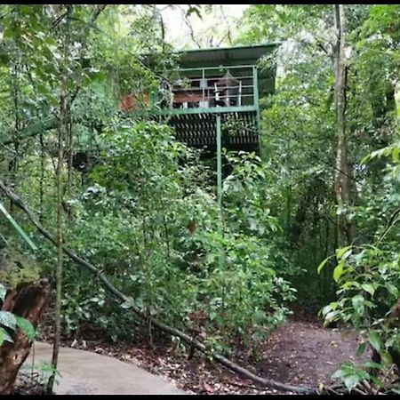 Jungle Living Tree Houses Monteverde ภายนอก รูปภาพ