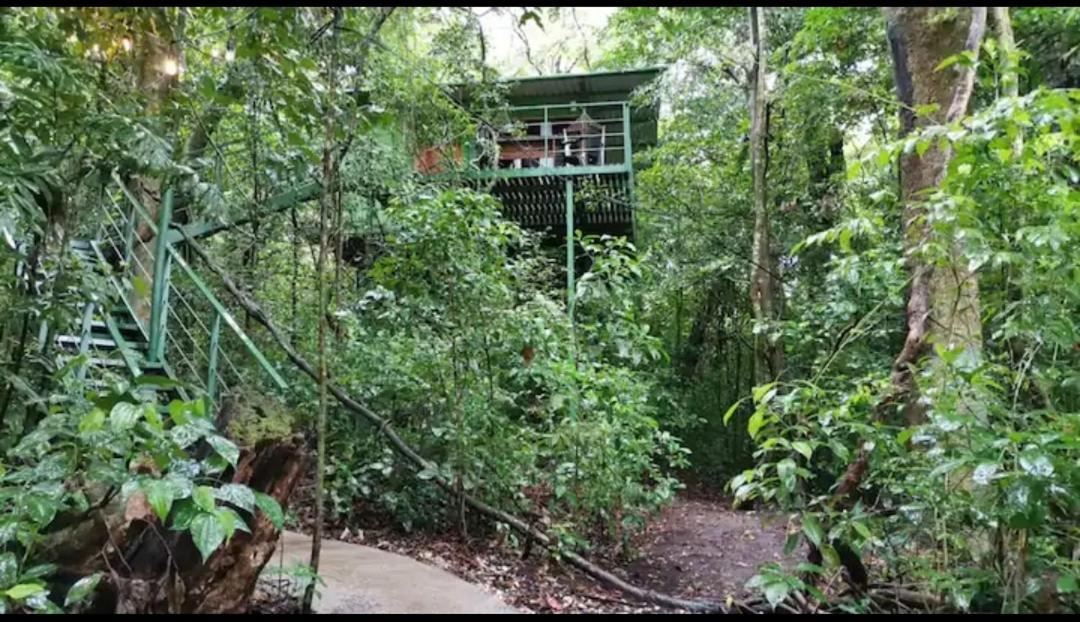 Jungle Living Tree Houses Monteverde ภายนอก รูปภาพ