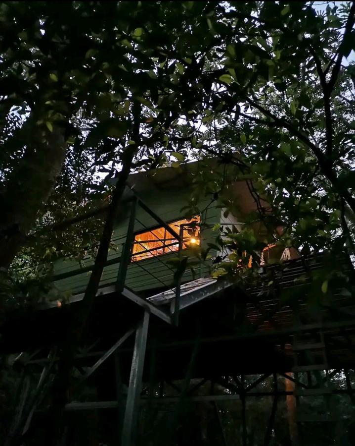 Jungle Living Tree Houses Monteverde ภายนอก รูปภาพ