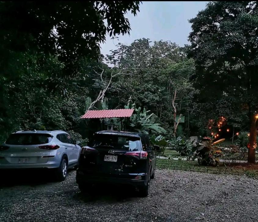 Jungle Living Tree Houses Monteverde ภายนอก รูปภาพ