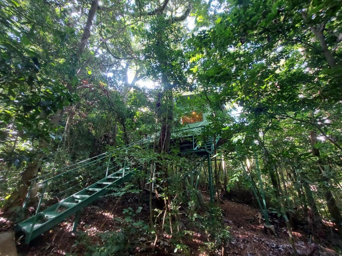 Jungle Living Tree Houses Monteverde ภายนอก รูปภาพ