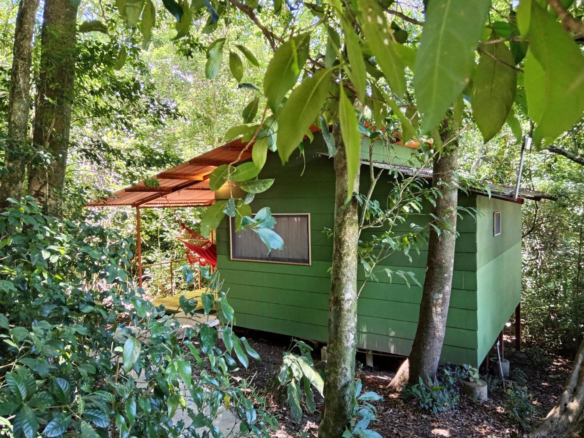Jungle Living Tree Houses Monteverde ภายนอก รูปภาพ