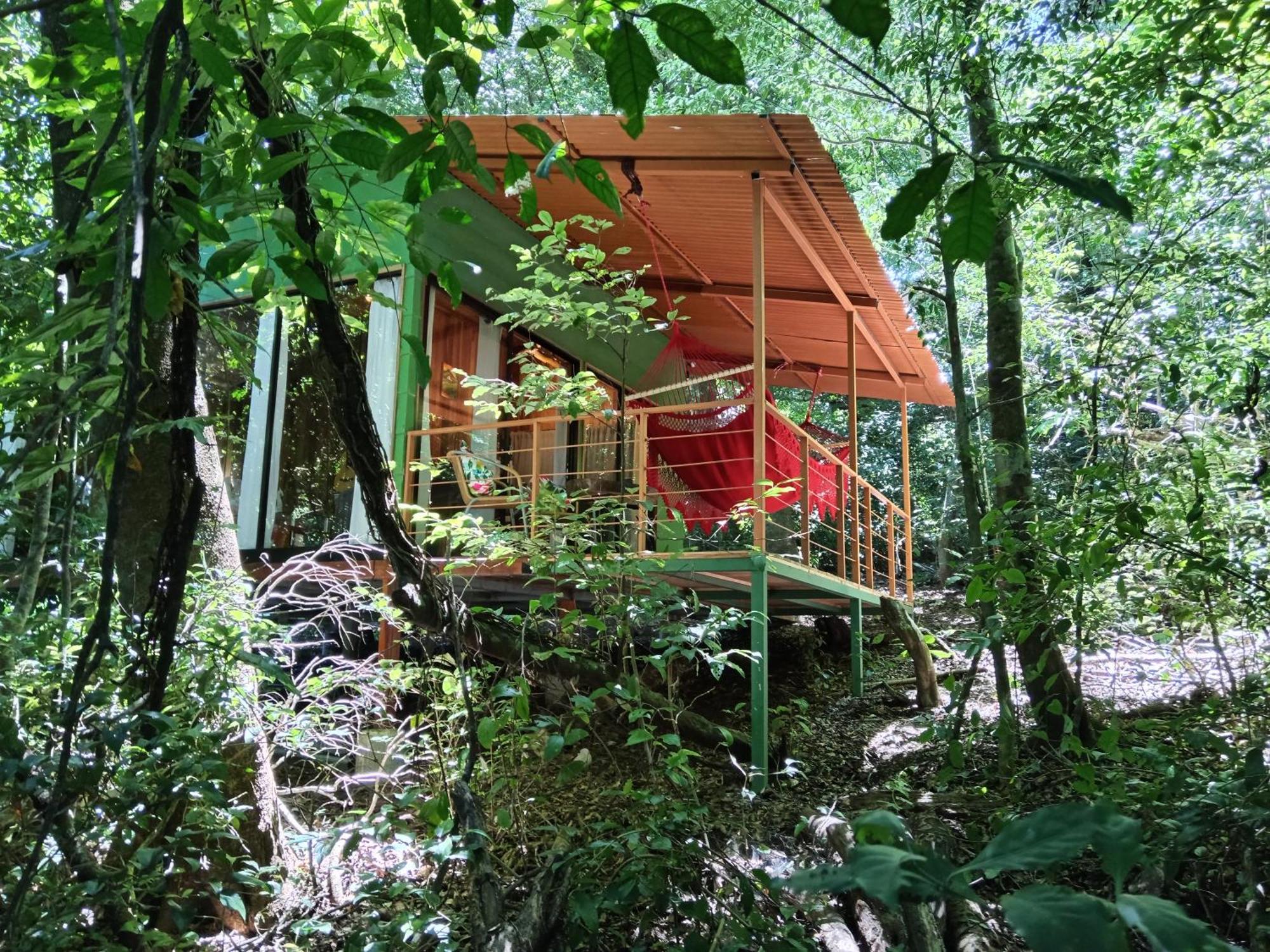 Jungle Living Tree Houses Monteverde ภายนอก รูปภาพ