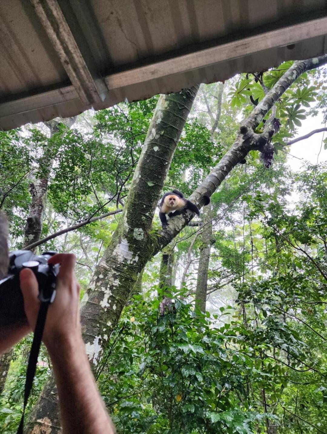 Jungle Living Tree Houses Monteverde ภายนอก รูปภาพ
