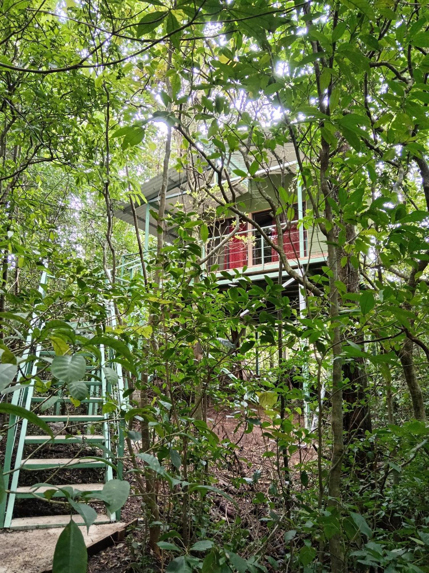 Jungle Living Tree Houses Monteverde ภายนอก รูปภาพ