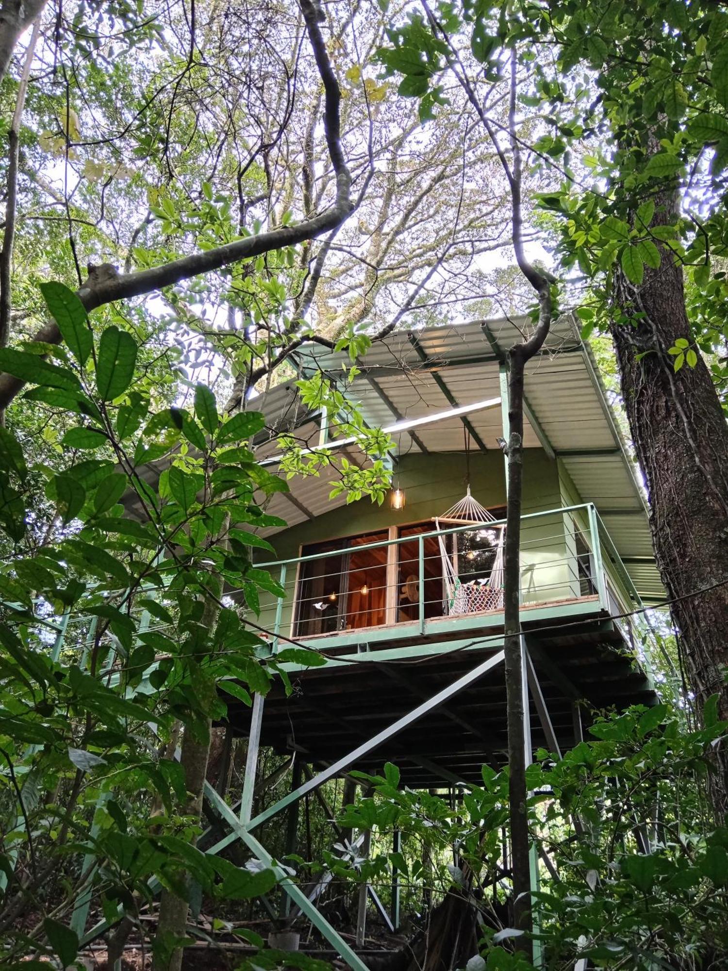 Jungle Living Tree Houses Monteverde ภายนอก รูปภาพ