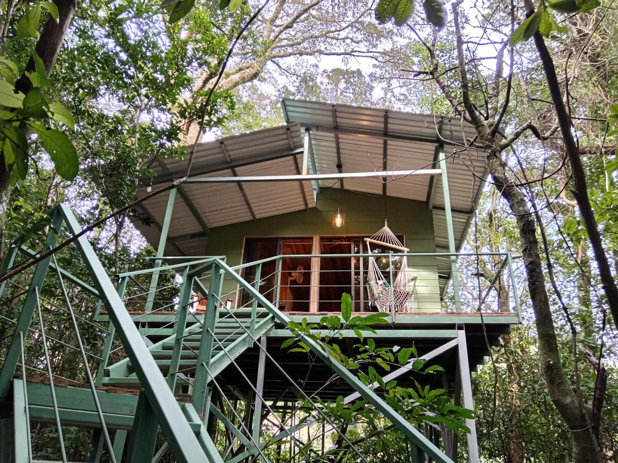 Jungle Living Tree Houses Monteverde ภายนอก รูปภาพ