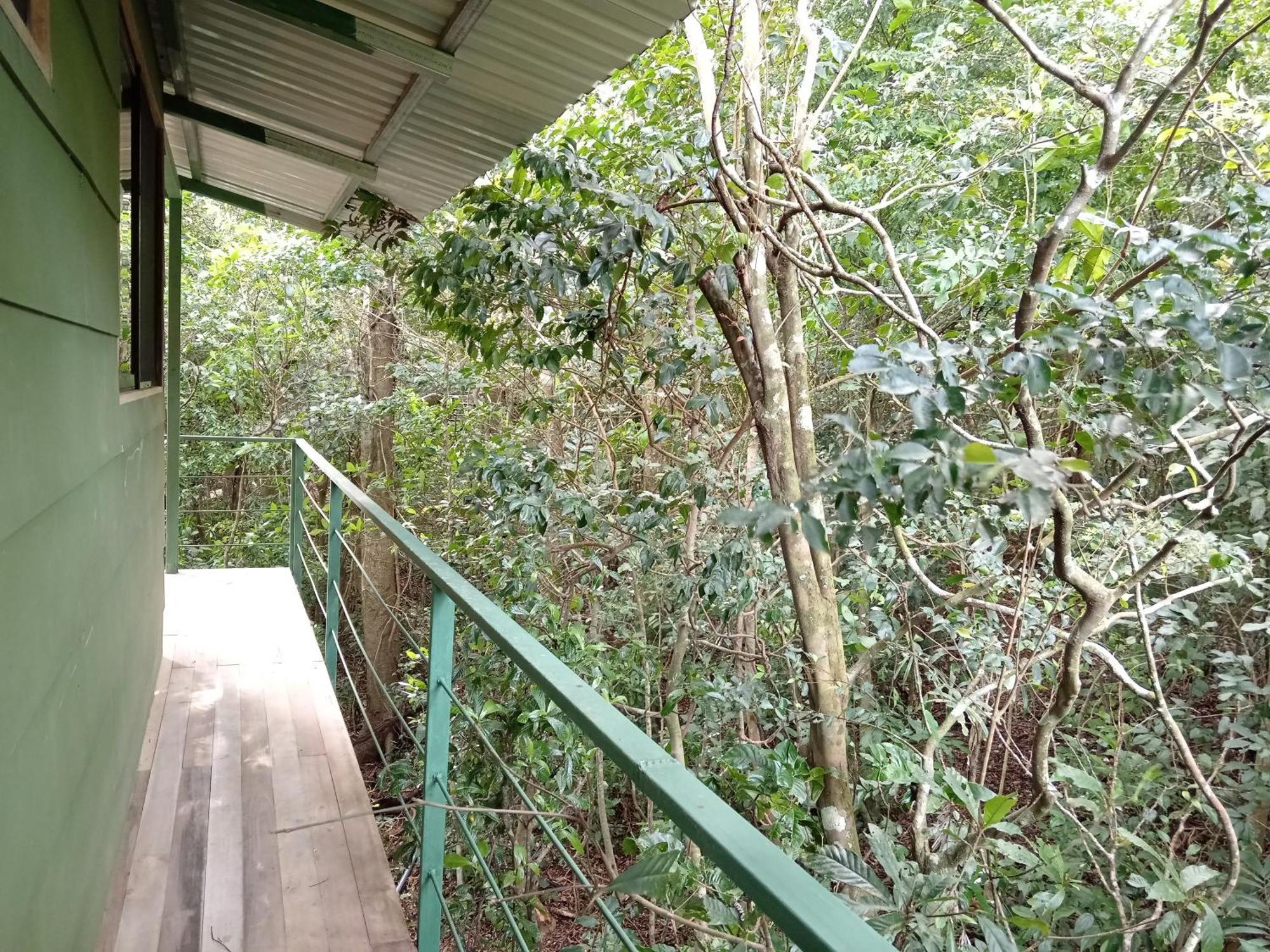 Jungle Living Tree Houses Monteverde ภายนอก รูปภาพ