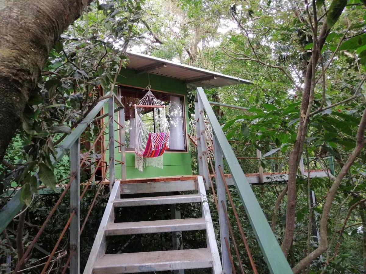 Jungle Living Tree Houses Monteverde ภายนอก รูปภาพ
